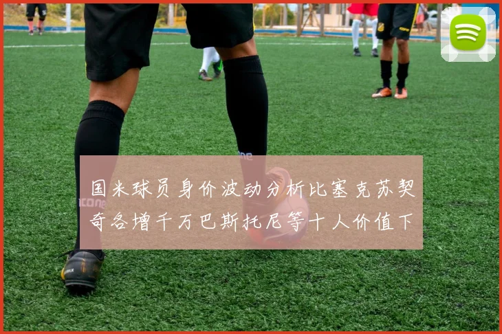 国米球员身价波动分析比塞克苏契奇各增千万巴斯托尼等十人价值下滑