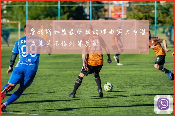 詹姆斯加盟森林狼的理由实力与潜力兼具不惧外界质疑