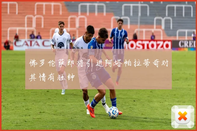 佛罗伦萨即将引进阿塔帕拉蒂奇对其情有独钟